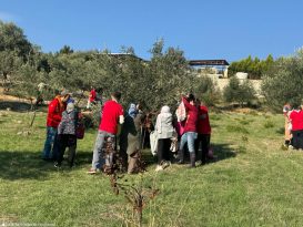 Engelli yurttaşlar ve yakınları zeytin hasadında buluştu
