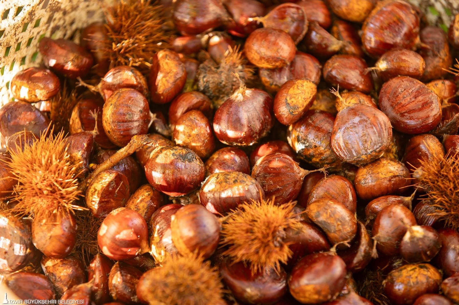 “Gözümüz gibi korumamız gerek”