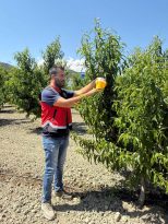 Üreticilere Akdeniz Meyvesineği Tuzakları Dağıtıldı
