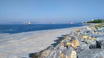 Bakan Kurum: Marmara Denizi’nden 7 günde 2 bin 684 metreküp müsilaj temizlendi