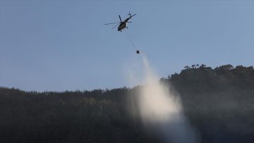 Tarım ve Orman Bakanı Pakdemirli: Muğla’da ve Aydın’daki 3 orman yangını için çalışmalar devam ediyor