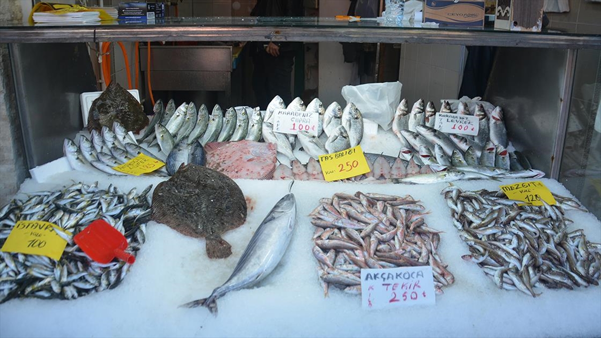 Düzce’de balıkçılar palamut sezonunu kapattı