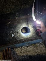 Mazgala düşen kayıp köpek ve yangında mahsur kalan kediler itfaiyenin çabasıyla kurtarıldı