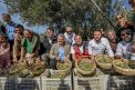 Akın, Havran’da Zeytin Hasat Şenliğine Katıldı